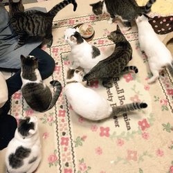 実家のご様子。