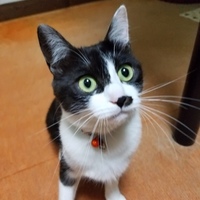 月潭