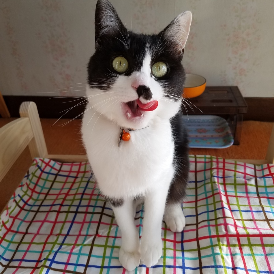月潭のカバー写真