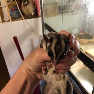 ありがとうございました