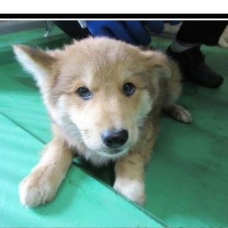 お問い合わせ頂けました