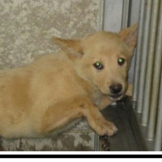 お問い合わせ頂けました！