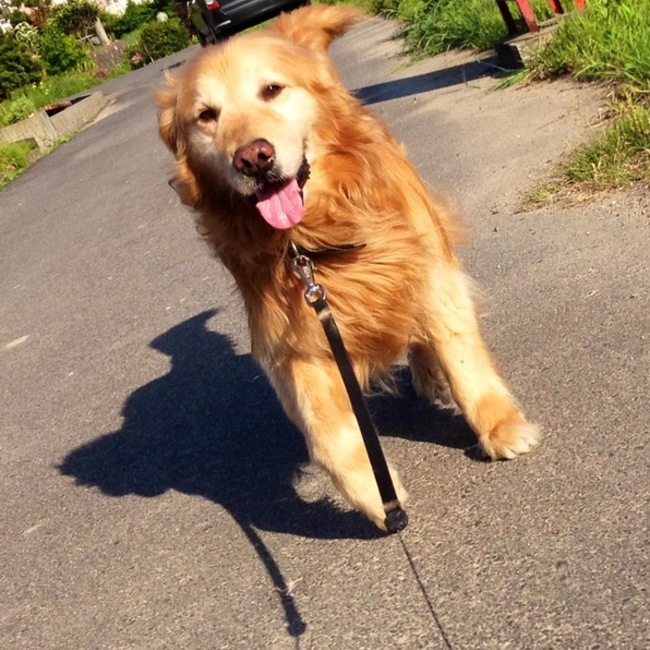 まるあさみんのカバー写真