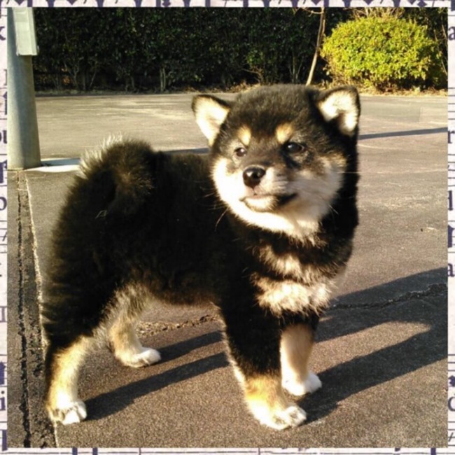 yukipoohのカバー写真