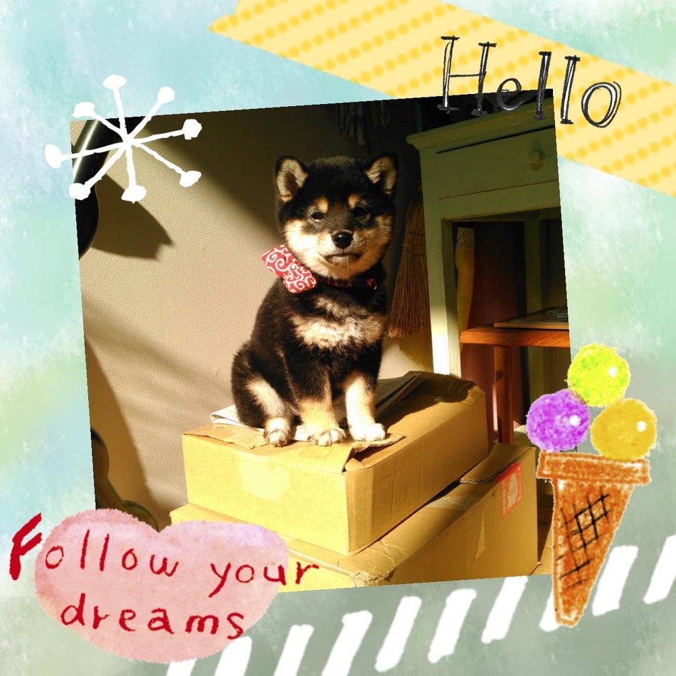 あずきのカバー写真