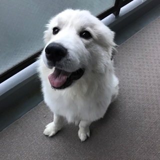 ☆りっくん１歳☆お利口さんです！