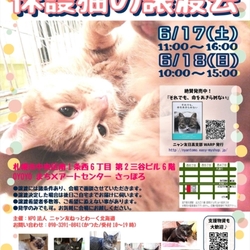 保護猫の譲渡会 NPO法人ニャン友ねっとわーく北海道