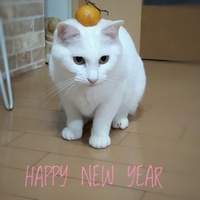 ぽー