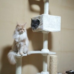 「1年と1か月」サムネイル1