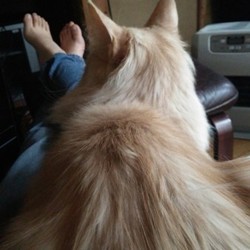 「1年と1か月」サムネイル2