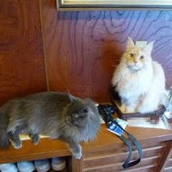 「1年と1か月」サムネイル3