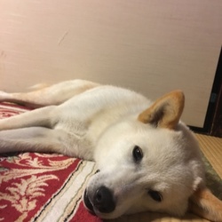 もおすぐ10ヶ月