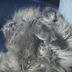 「メーデーメーデー!!」サムネイル1