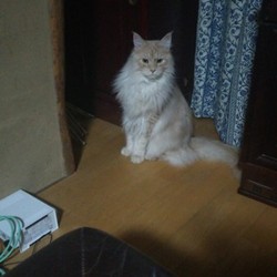 「メーデーメーデー!!」サムネイル2