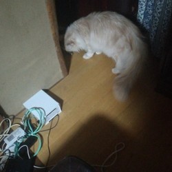 「メーデーメーデー!!」サムネイル3