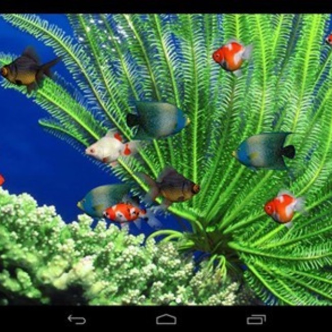 なおたんちーたんのカバー写真