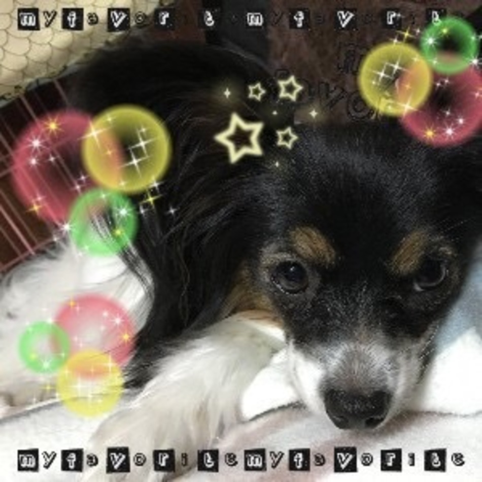 チナのカバー写真