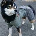 素晴らしいご縁に感謝です