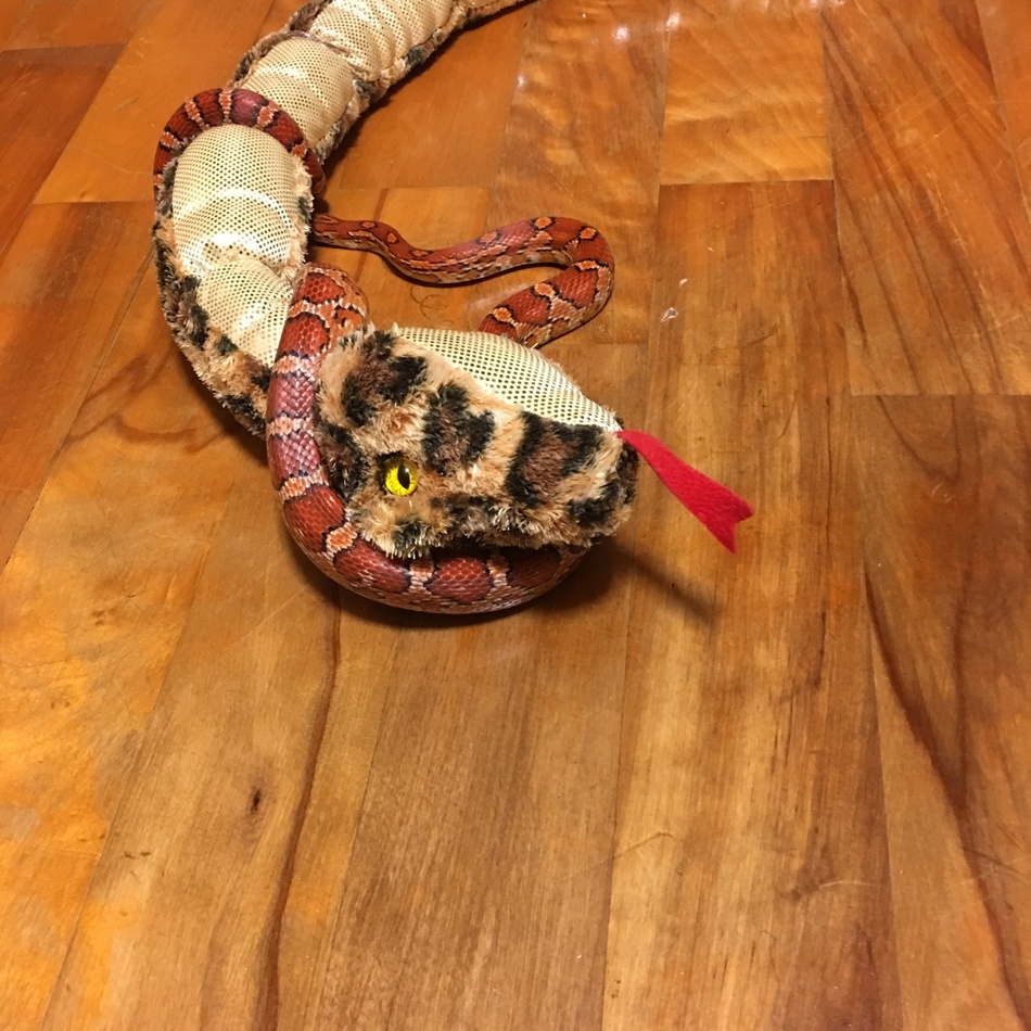 レッドのカバー写真