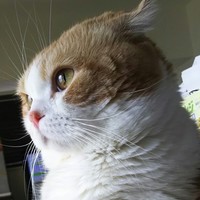 ライトニング・スコ