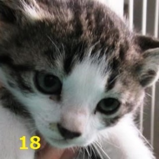 お家に迎えて頂きました。