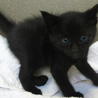 里親決定！！家族ができました(*´▽｀*)