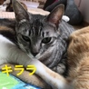 優しい性格で猫さん大好き！美少女キララちゃん サムネイル4