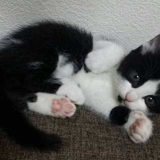 ４月５日生まれ　白黒