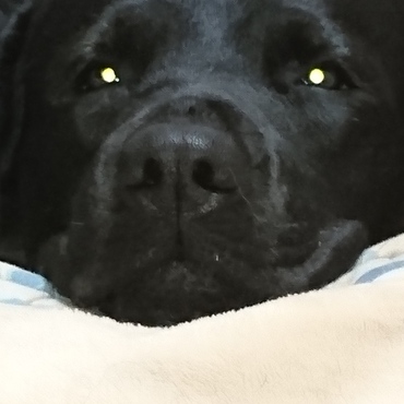 かまってちゃ‼️