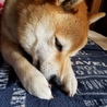 itigo さん