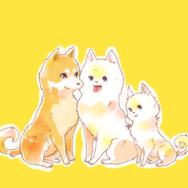 保護っ子基金  のカバー写真