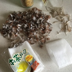 「うぴの羽で羽根布団制作作戦、決行！」サムネイル2