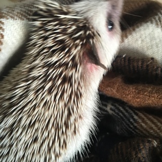 たくさんのご応募ありがとうございました