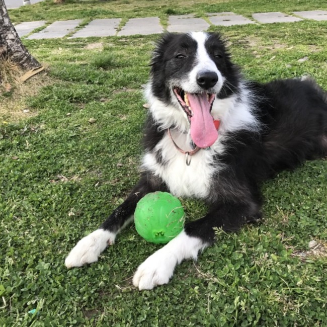 絵真のカバー写真