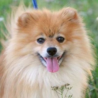 優しい可愛いジャイアン君