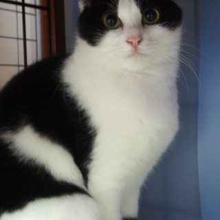 一旦停止！甘えん坊の男の子☆ぱんだ☆