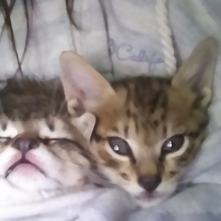 優しい方に引き取られました❗