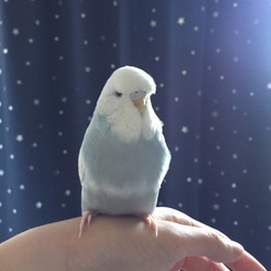 ちるちゃん、危機！その２！！