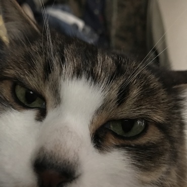 の写真