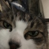 の写真
