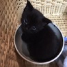 くろブラックスモーク