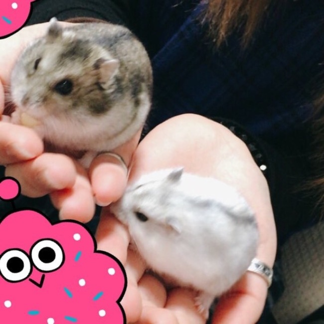 陽和のカバー写真