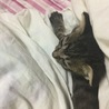 おねむ