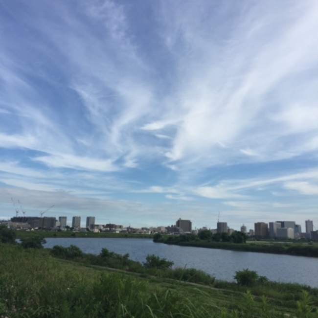 カブと虫のカバー写真