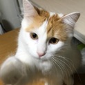 沢山のお問い合わせありがとうございます