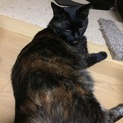 マイペースで何事にも動じないふうちゃん