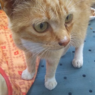 本当にありがとうございました。m(__)m