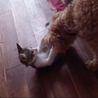の写真