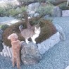 の写真