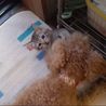 の写真
